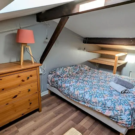 Apartmán Faidherbe Opera 2 - 90m Carres En Hypercentre Lille